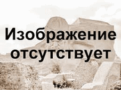 прицел как у amway921